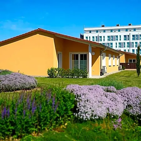 Voya Hotel 4*